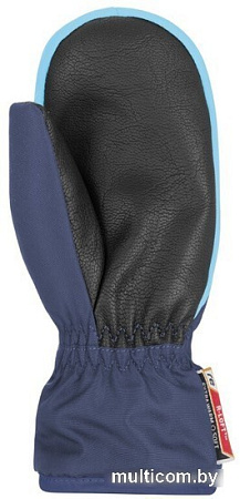 Варежки Reusch Ben mitten dress 4685408-4503 (р-р 3, blue/bachelor button)