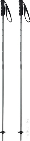 Лыжные палки Elan Speedrod 2024-2025 CD531524-130 (р.130, серый)