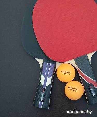 Ракетка для настольного тенниса Roxel Stellar