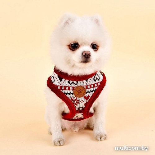 Шлейка Pinkaholic Joy NASD-HA7504-WN-M (красный)