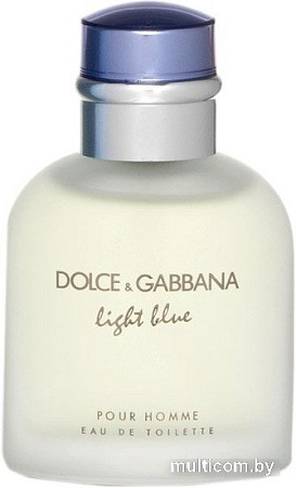 Dolce&Gabbana Light Blue pour Homme EdT (75 мл)
