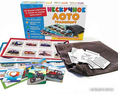 Развивающая игра Нескучные игры Нескучное лото. Транспорт
