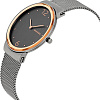 Наручные часы Skagen SKW2382