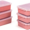 Набор контейнеров Полесье 176x123x50мм с крышками 73928 (6 шт, бледно-коралловый/прозрачный)