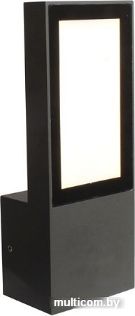 Уличный настенный светильник Favourite Slender 3037-1W