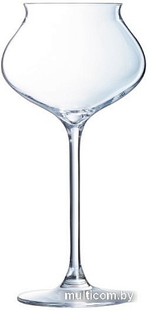 Набор бокалов для шампанского Chef&Sommelier Macaron Fascination N6386