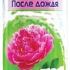 Освежитель воздуха Chirton После дождя (300 мл)