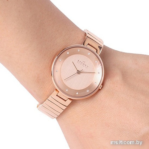 Наручные часы Skagen SKW2227
