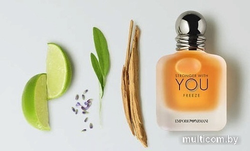 Giorgio Armani Stronger With You Freeze EdT (50 мл)