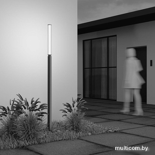 Уличный накладной светильник Maytoni Lit O593FL-L20GF3K