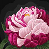 Три совы Цвет пиона КК_53817