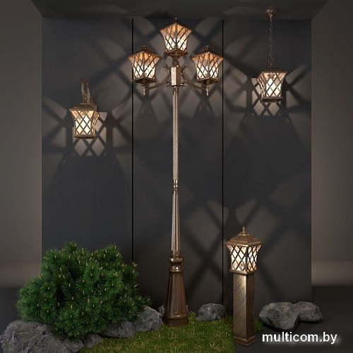 Уличный подвесной светильник Elektrostandard Cassiopeya Cassiopeya H (черное золото)