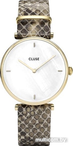 Наручные часы Cluse Triomphe CL61008
