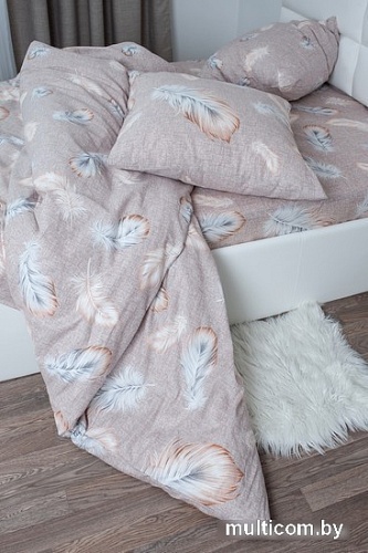 Постельное белье Миланика Перья Семейный (бязь)