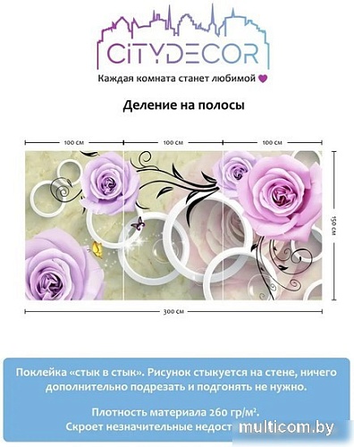 Фотообои Citydecor Абстракция 70 300x150