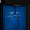Туалетная вода Real Time Night Canyon Men EdT (100 мл)