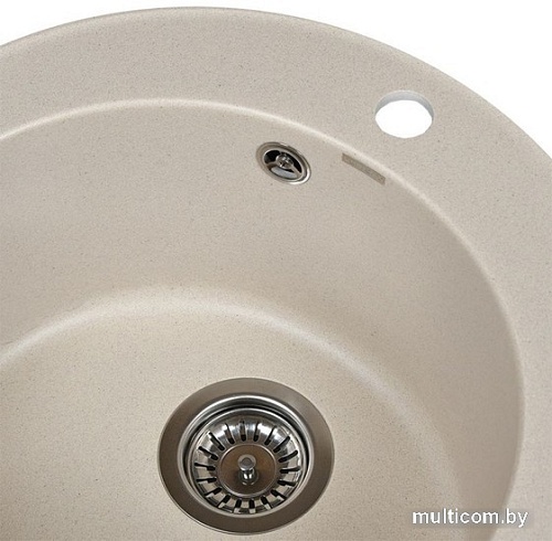 Кухонная мойка Wisent 510-30WR (с сифоном GER013)