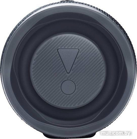 Беспроводная колонка JBL Charge Essential 2