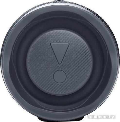 Беспроводная колонка JBL Charge Essential 2