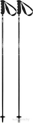 Лыжные палки Elan Carbonrod 2024-2025 CD231423-120 (р.120, черный)