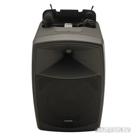Активная акустика Audiophony CR12A-COMBO