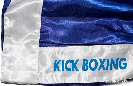 Шорты BoyBo для кикбоксинга (XL, синий)