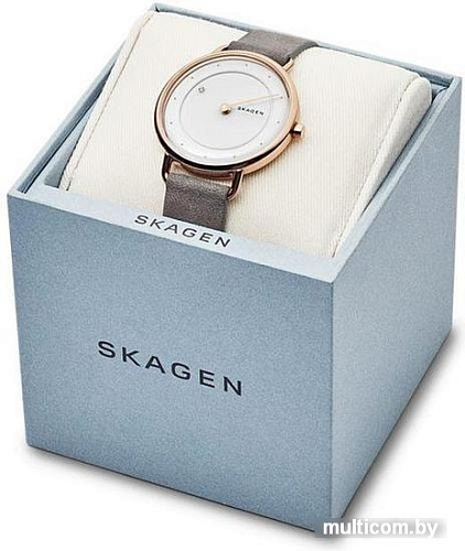 Наручные часы Skagen SKW2739