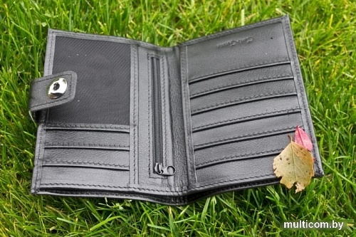 Кошелек Carlo Gattini Coste 7416-01