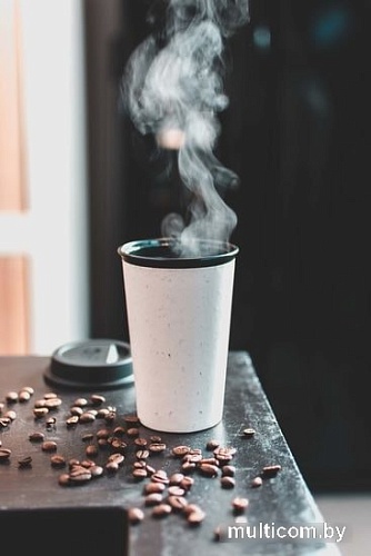 Термокружка Circular&Co Now 0.39л (черный)