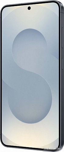 Телефон Samsung Galaxy S25 SM-S931B 12GB/512GB (сине-черный)