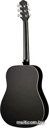 Акустическая гитара Naranda DG120BK