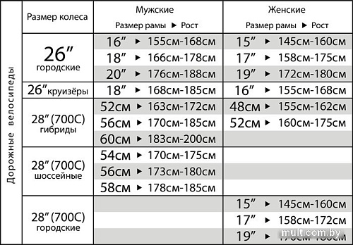 Велосипед Stinger Gravix Evo 58см 2023