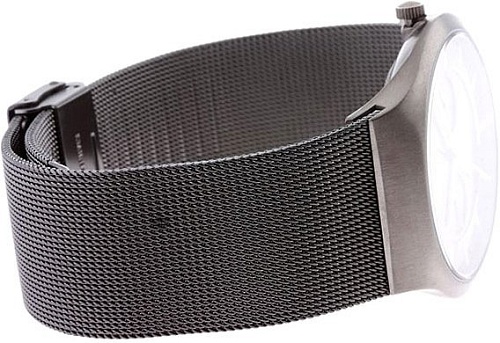 Наручные часы Bering 11939-079