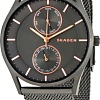 Наручные часы Skagen SKW6180