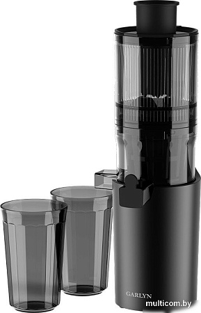 Соковыжималка Garlyn J-400