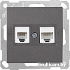 Розетка компьютерная Mutlusan 2100 139 0195