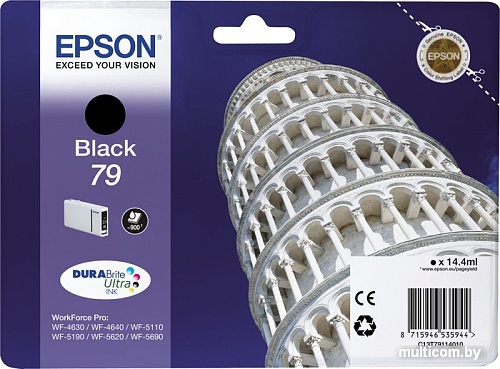 Картридж Epson C13T79114010