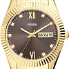 Наручные часы Fossil Scarlette ES5206