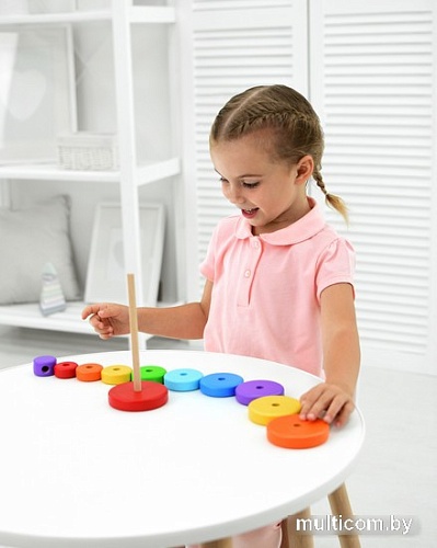 Пирамидка Mega Toys Круг 60106