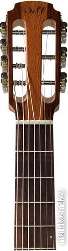 Акустическая гитара Doff RGP