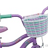 Детский велосипед Schwinn Jasmine 16 S1681ERU (фиолетовый)