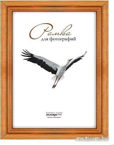 Фоторамка Палитра Д17К 21x30