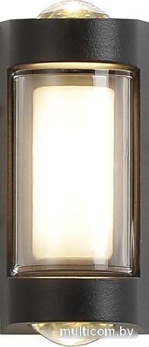 Уличный накладной светильник ESCADA 30006W/01LED (черный)