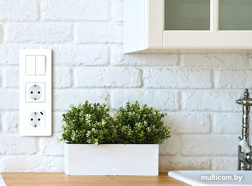 Розетка Legrand Inspiria 673720