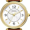 Наручные часы Fossil ES5297