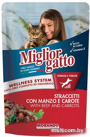 Пресервы MigliorGatto Strips Beef and Carrots 100 г
