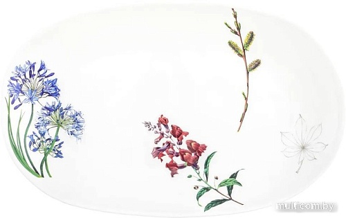 Блюдо Elan Gallery Ботанический атлас 540792