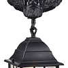 Уличный настенный светильник Favourite Hunt 2253-1W