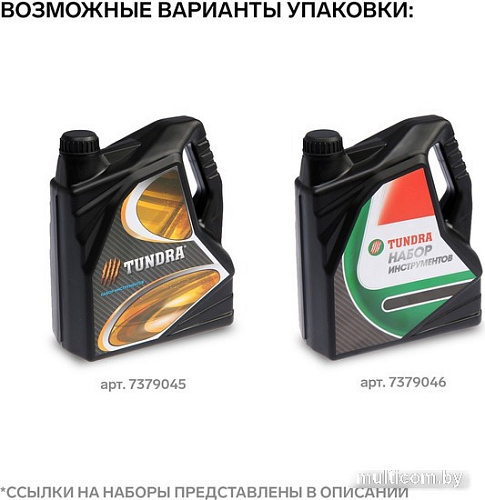 Набор домашнего мастера Tundra 4506459 (21 предмет)