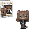 Фигурка Funko POP! Harry Potter S5 Hermione Granger as Cat (77) 35509